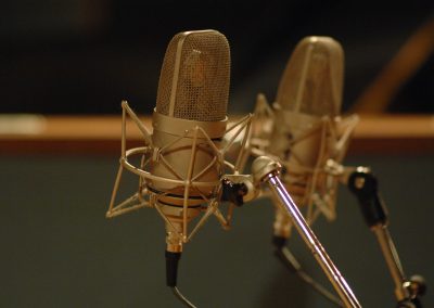 Microphone